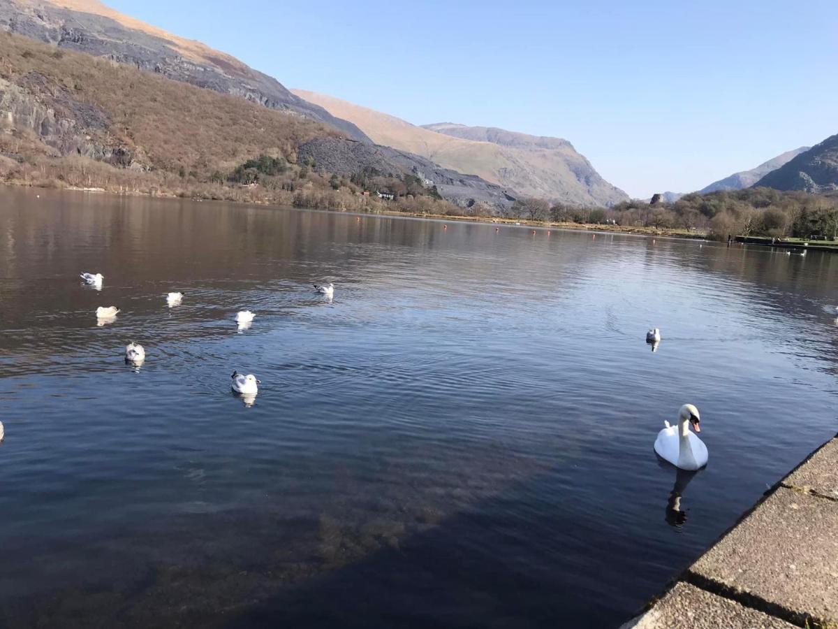 Llanberis Lodges Ngoại thất bức ảnh